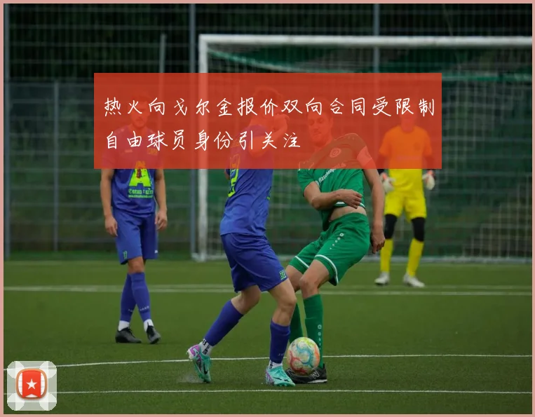 热火向戈尔金报价双向合同受限制自由球员身份引关注
